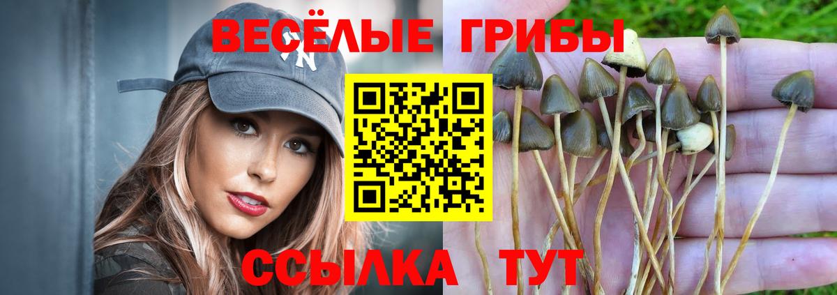 Уварово  Псилоцибиновые грибы Psilocybe  Галлюциногенные грибы прущие грибы  Вход с VPN 