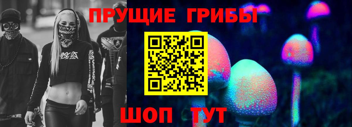 Псилоцибиновые грибы Psilocybine cubensis Уварово